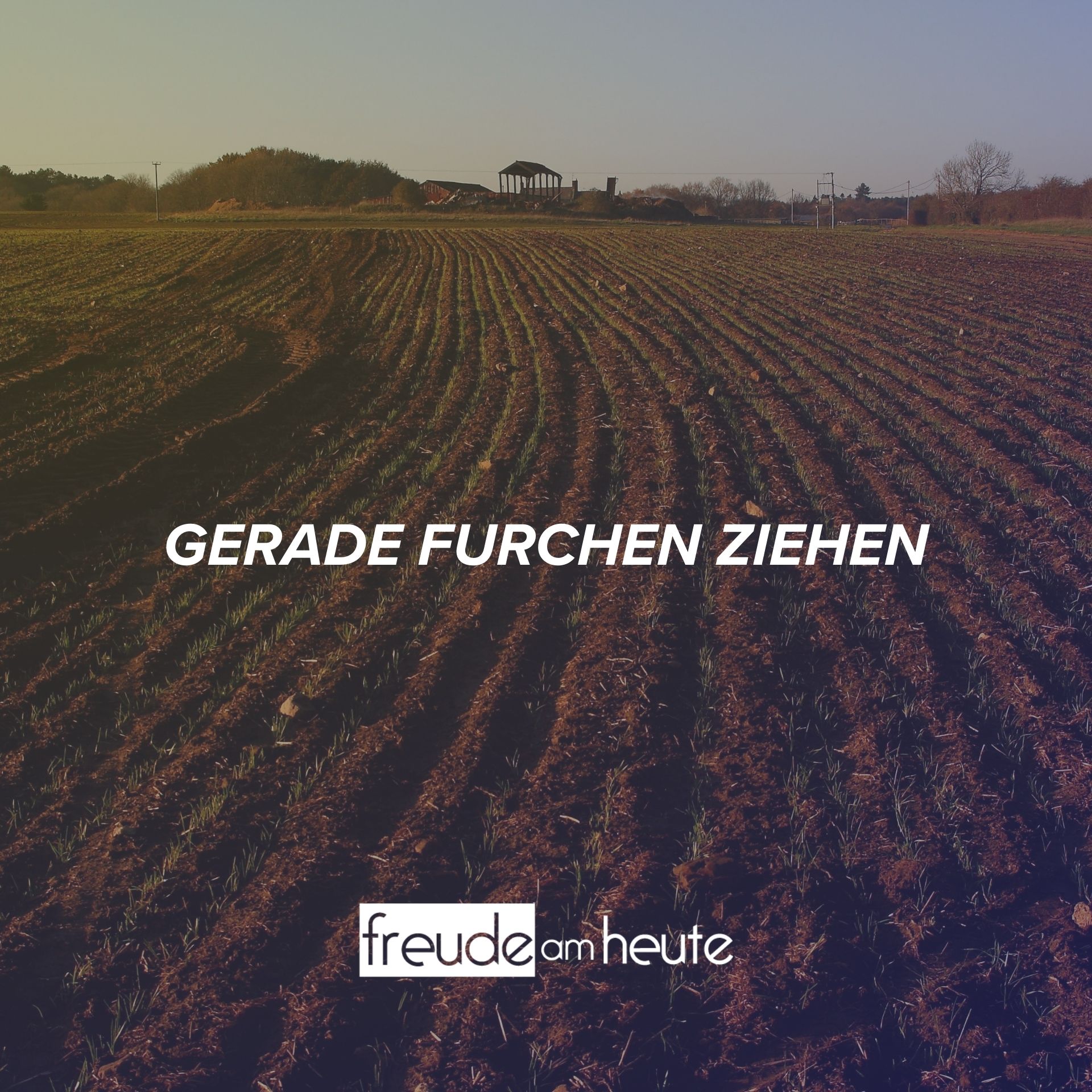 Bibellesen; der Schlüssel zum geistlichen Wachstum (2)